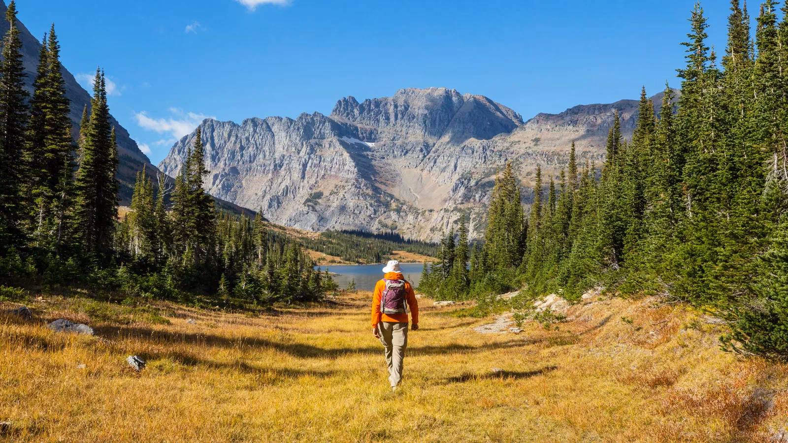 a-house-in-glacier-national-park-the-couple-the-creek-and-the-legal-circus-image-0