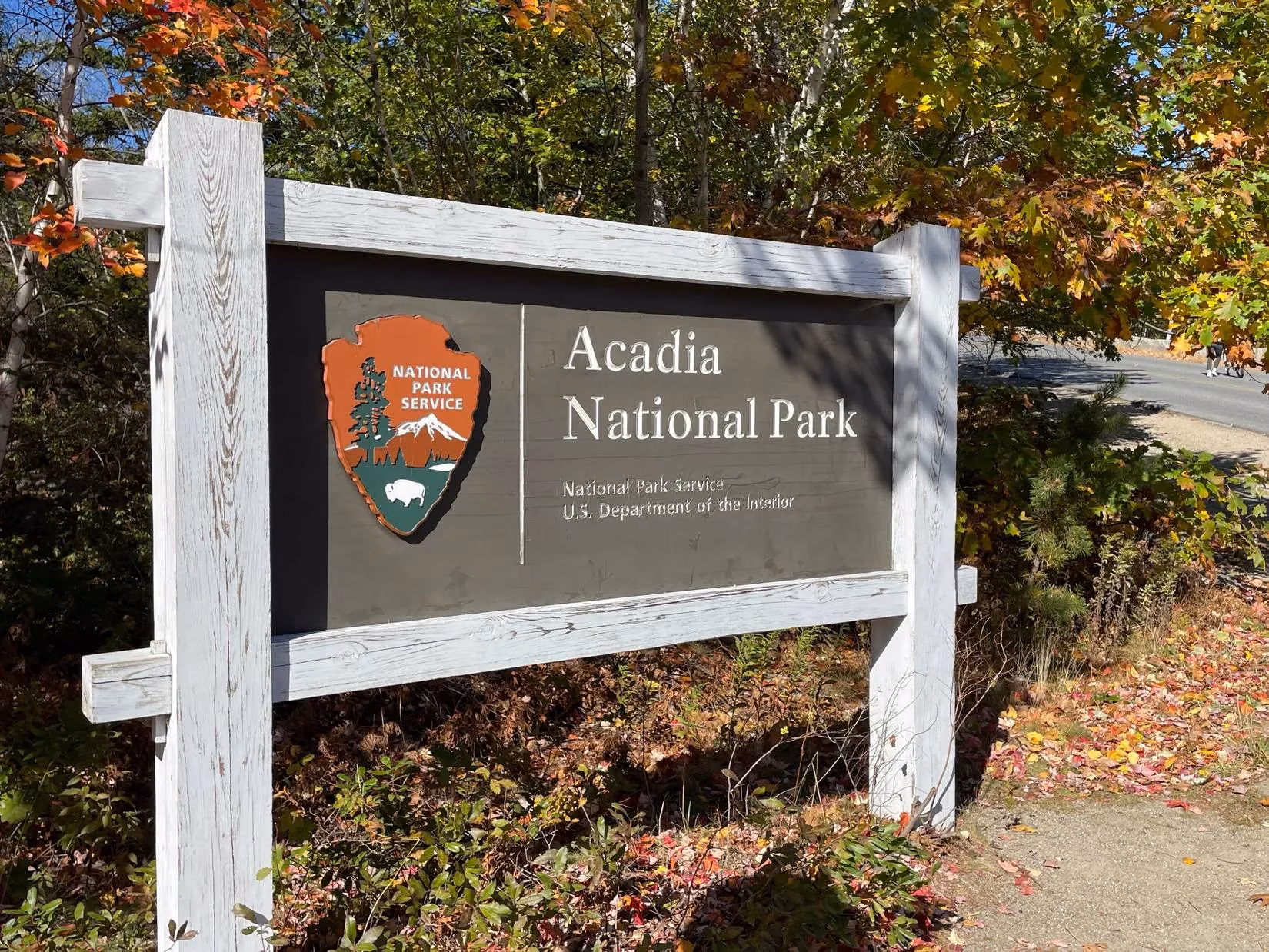 acadia-s-vanishing-signs-spark-a-political-tug-of-war-image-1