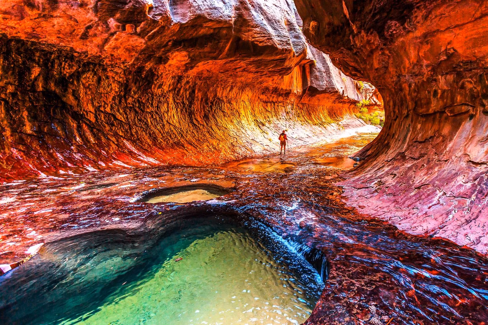 art-and-resilience-zion-national-park-s-2025-plein-air-invitational-aids-post-shutdown-recovery-image-1
