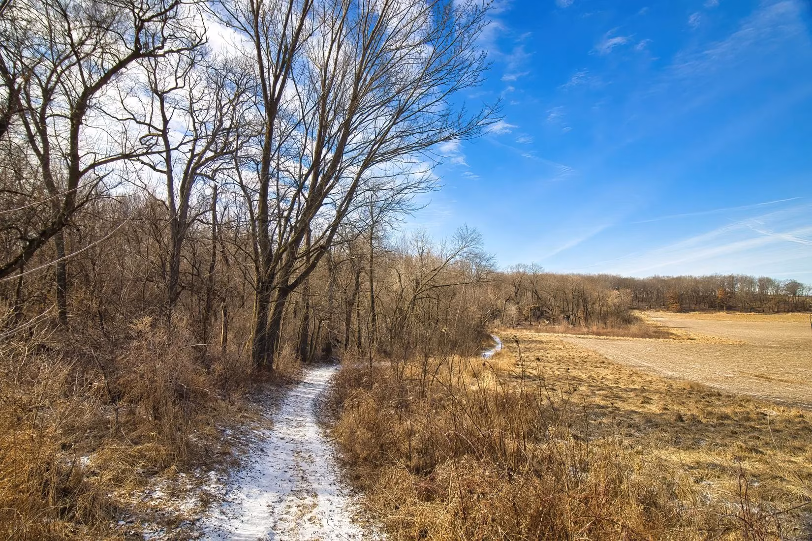 beyond-the-pct-epic-alternative-thru-hikes-for-2025-adventure-image-2