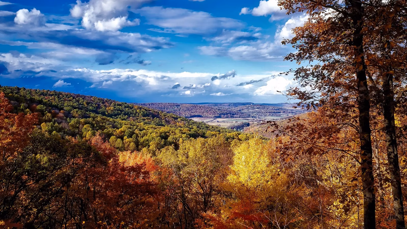 catoctin-mountain-park-maryland-s-quieter-fall-foliage-escape-image-0