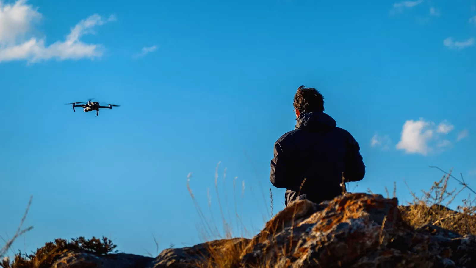 drone-chases-bear-up-tree-at-great-smoky-mountains-visitor-fined-under-strict-nps-rules-image-0