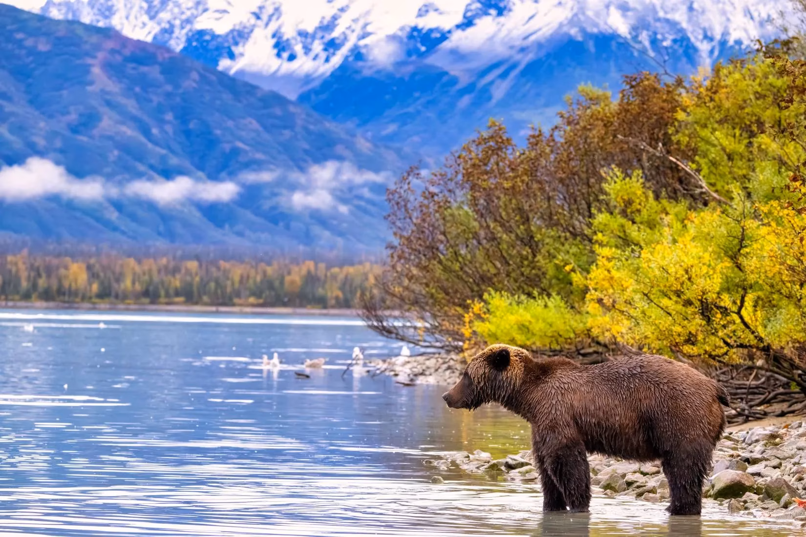 gamers-pledge-how-players-are-willing-to-pay-more-to-protect-virtual-wildlife-and-park-ecosystems-image-1