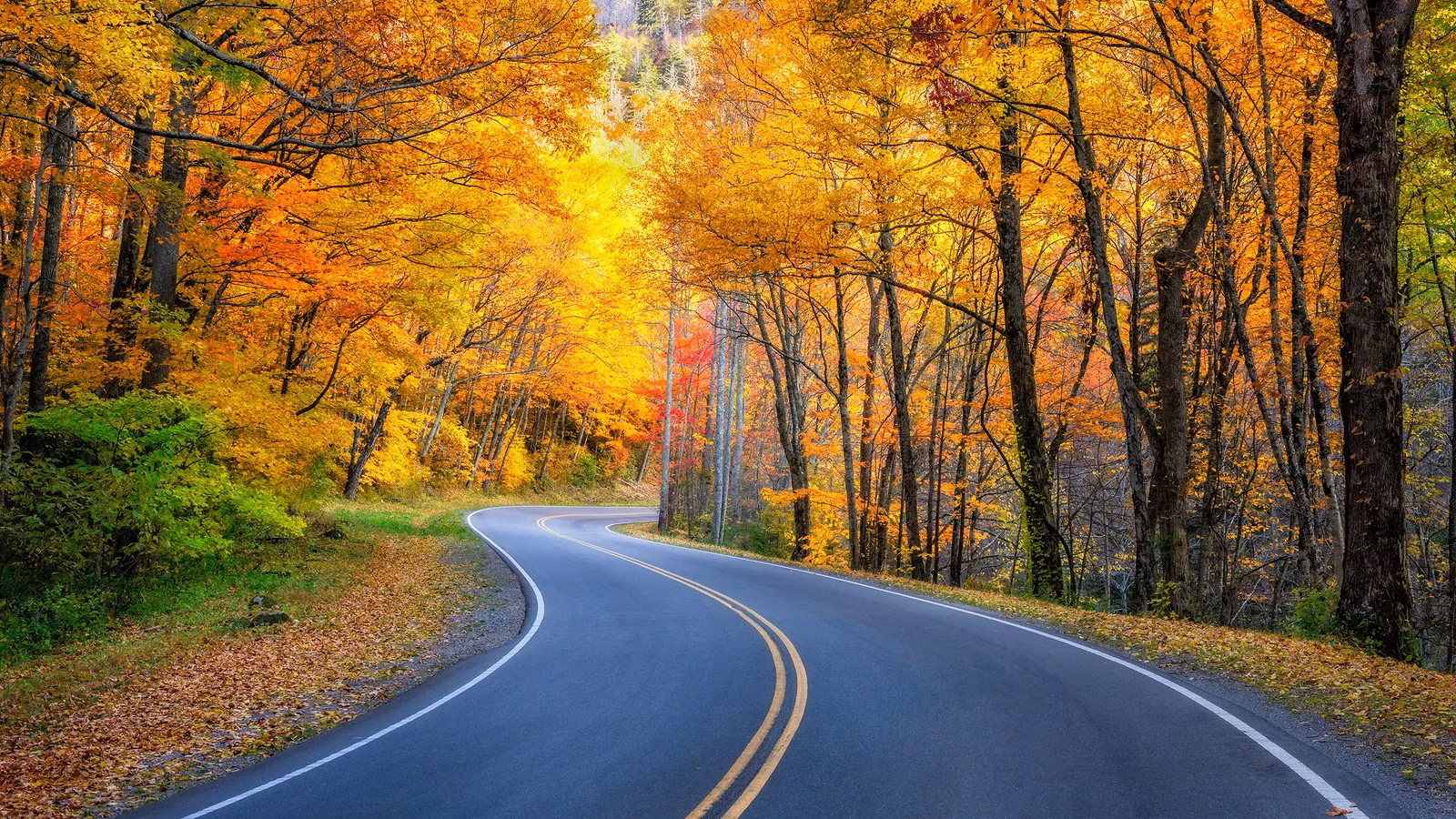 how-the-2025-government-shutdown-drained-the-great-smoky-mountains-by-millions-daily-image-0