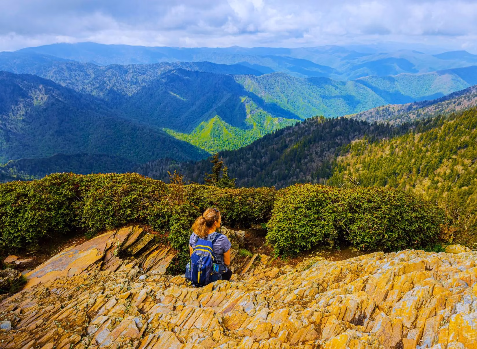 local-groups-reopen-great-smoky-mountains-national-park-during-government-shutdown-image-1