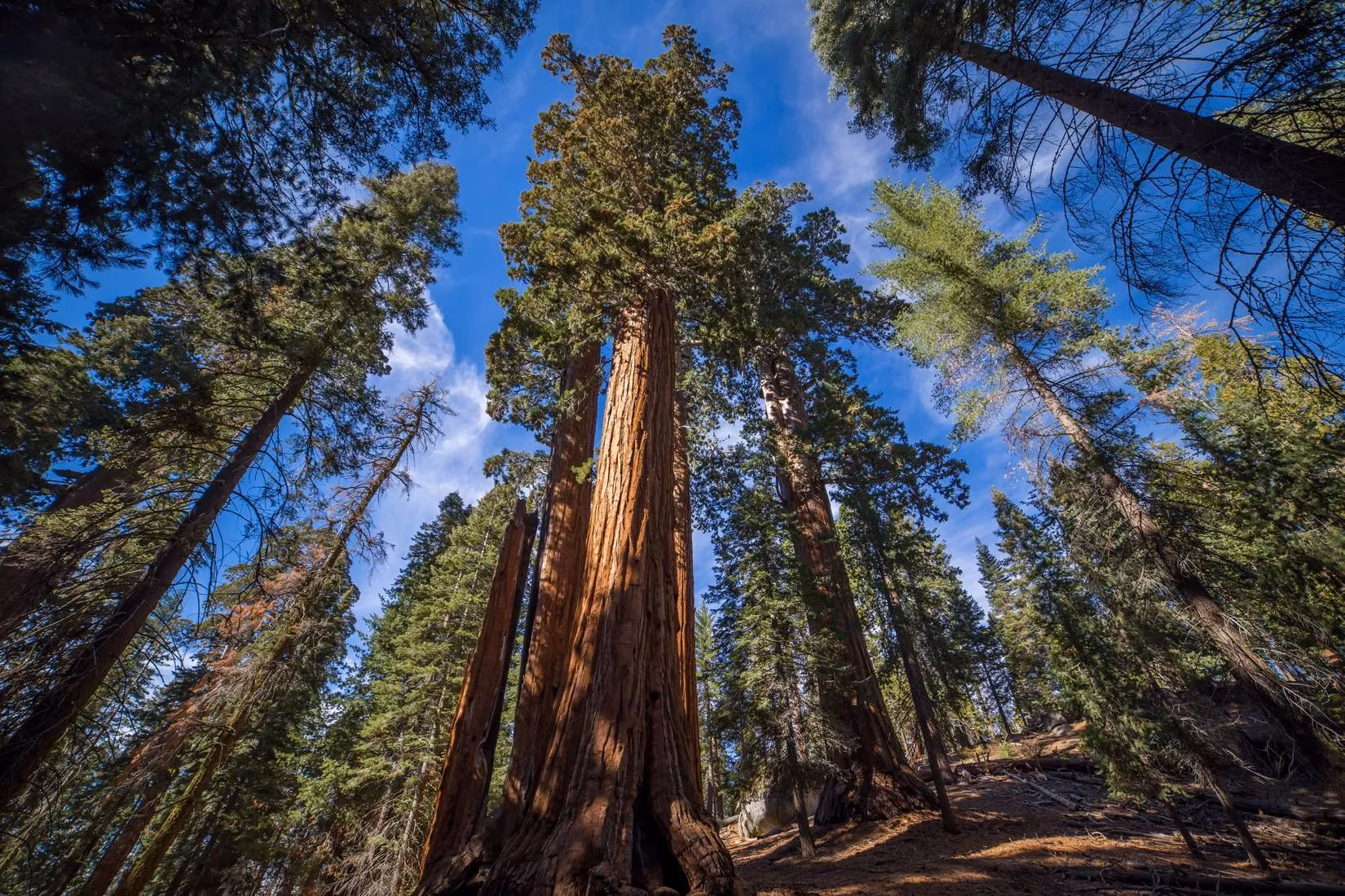 my-holiday-park-plans-got-snowed-on-a-first-hander-s-guide-to-surviving-california-s-stormy-parks-image-4