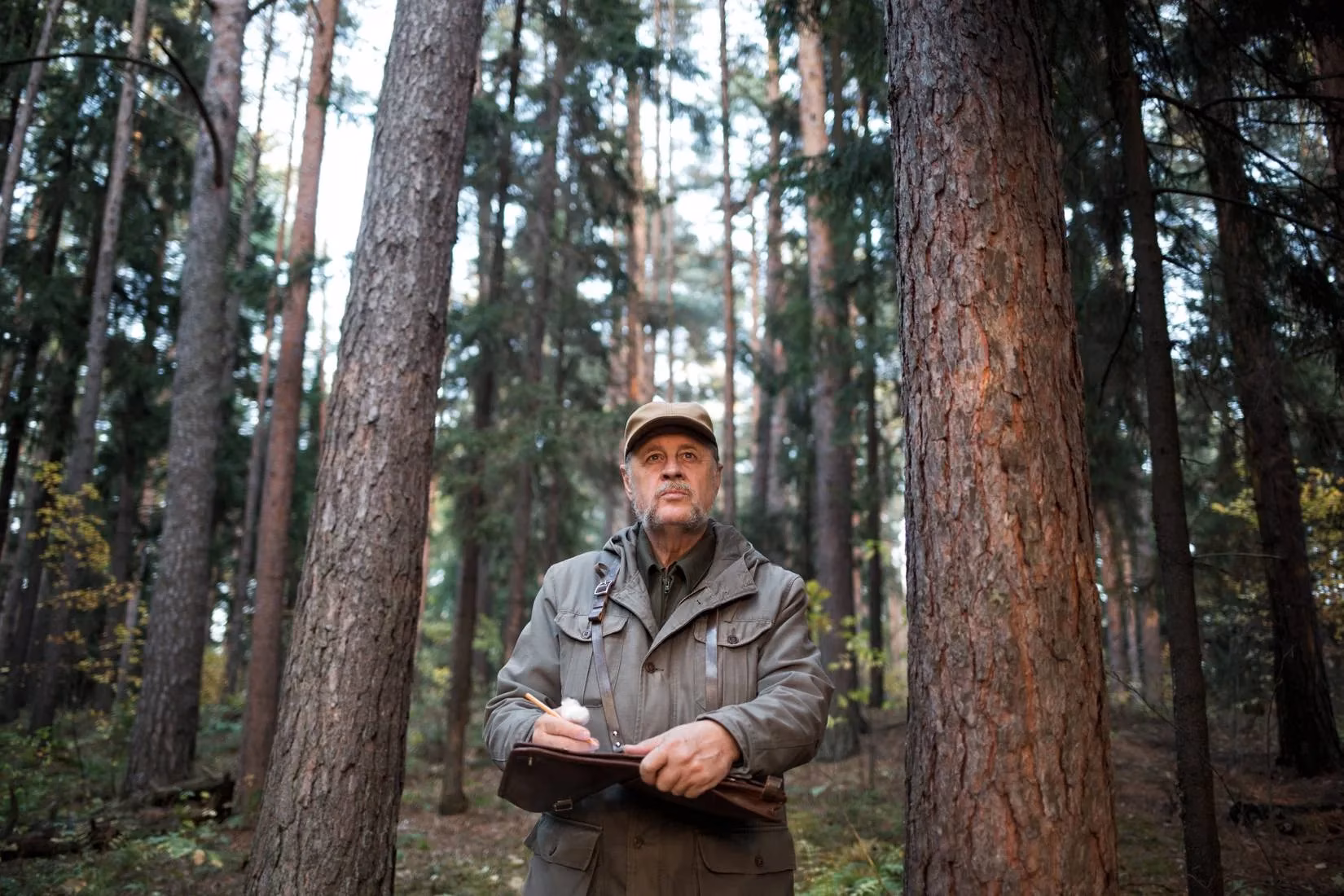 national-parks-rocky-road-financial-scars-and-ranger-resilience-after-the-2025-shutdown-image-2