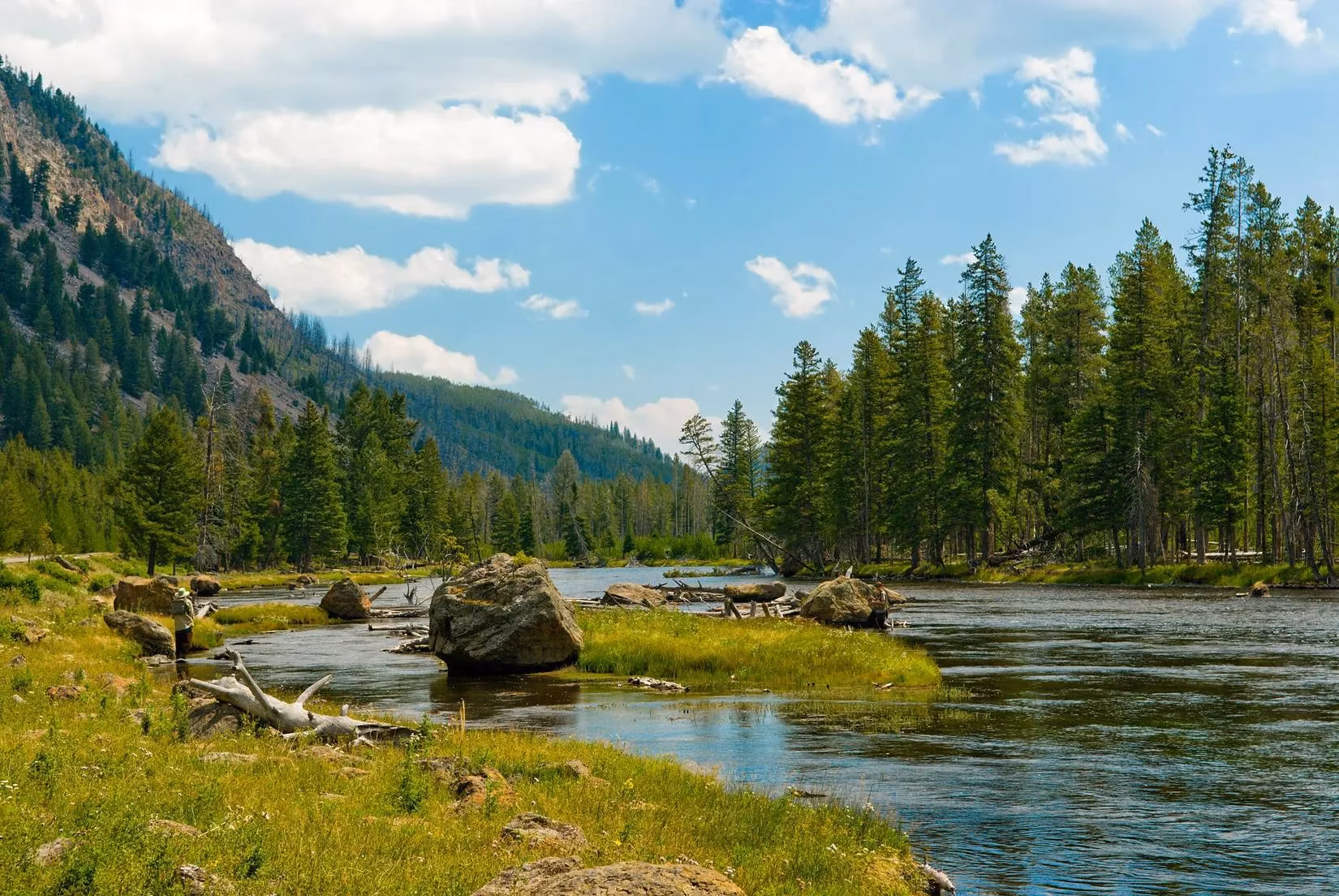 the-100-surcharge-saga-how-u-s-national-parks-are-navigating-a-new-fee-for-international-visitors-image-1