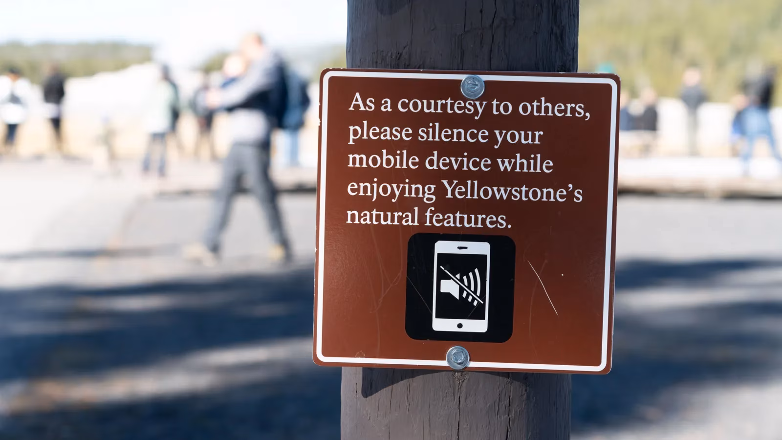 whispers-in-the-rock-how-machine-learning-is-revealing-yellowstone-s-hidden-tremors-image-1