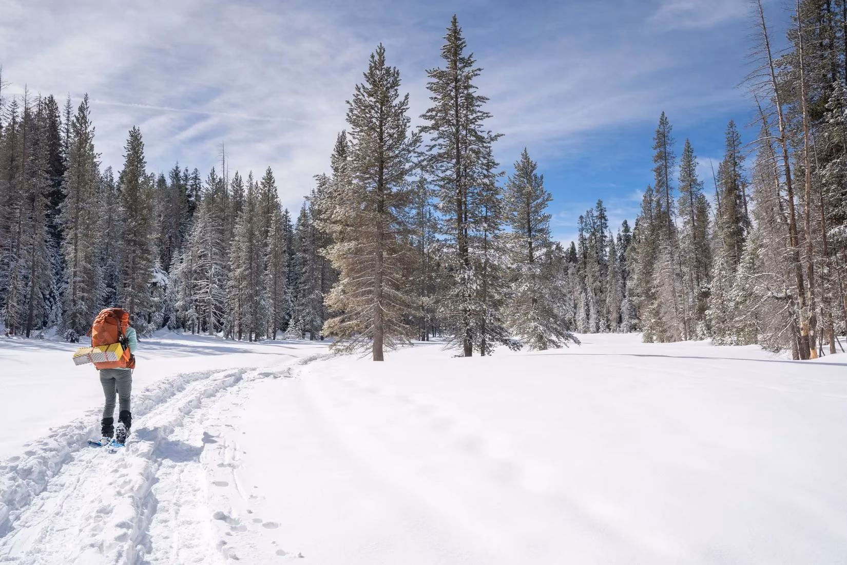 winter-s-whisper-discovering-the-soul-of-yosemite-when-the-crowds-disappear-image-1