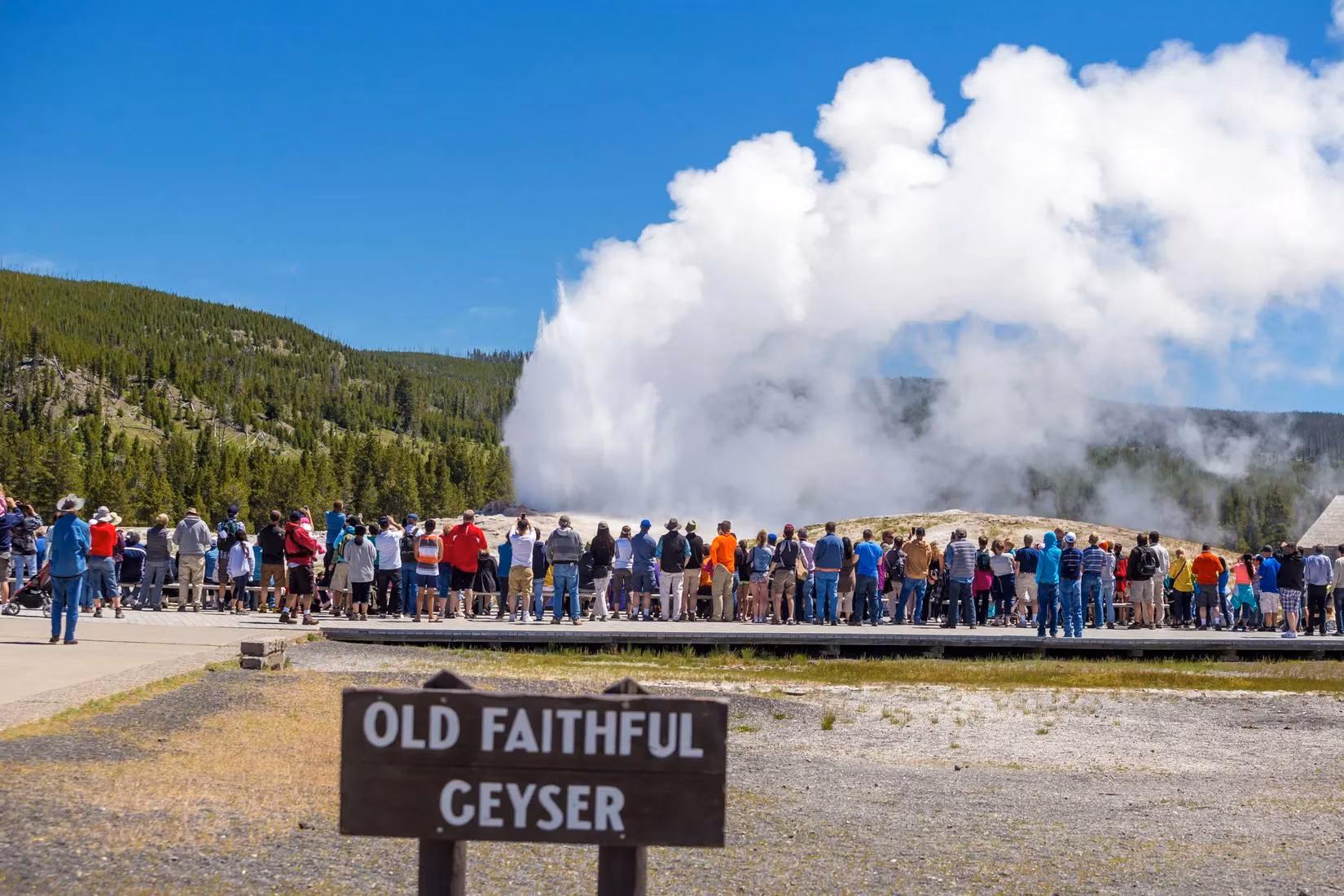 yellowstone-in-2026-record-crowds-thin-staff-and-a-fragile-future-image-3