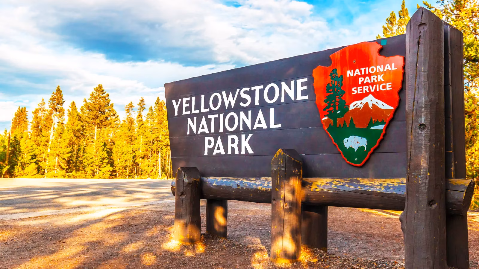 yellowstone-s-new-bridge-national-park-upgrades-a-game-changer-for-wildlife-visitors-image-0
