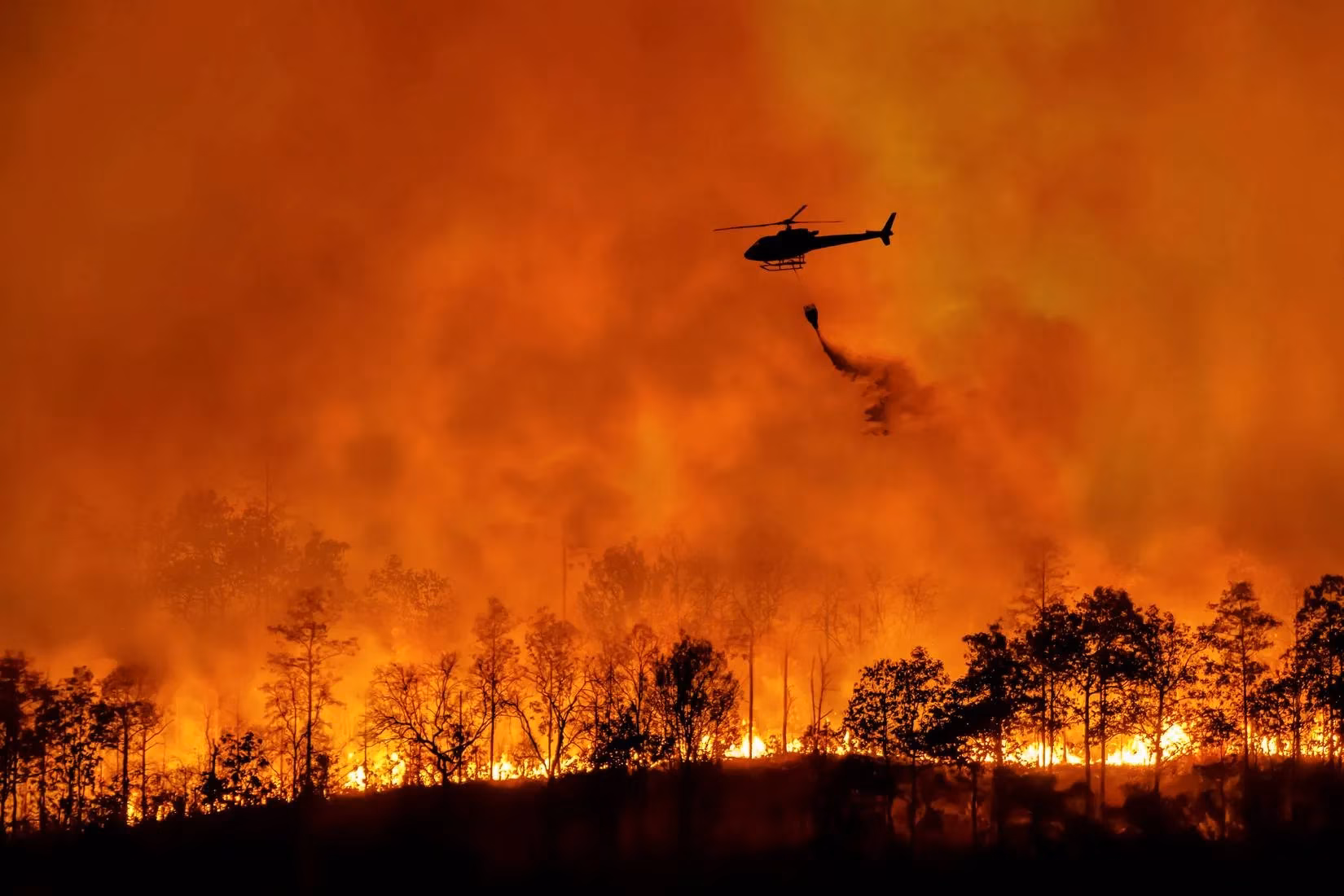 yosemite-s-missed-burn-windows-the-2026-wildfire-gamble-image-1