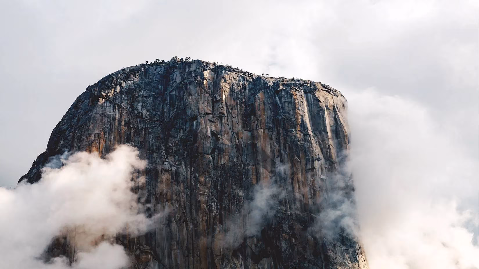 yosemite-s-shutdown-real-life-chaos-a-pro-gamer-can-t-unsee-image-1
