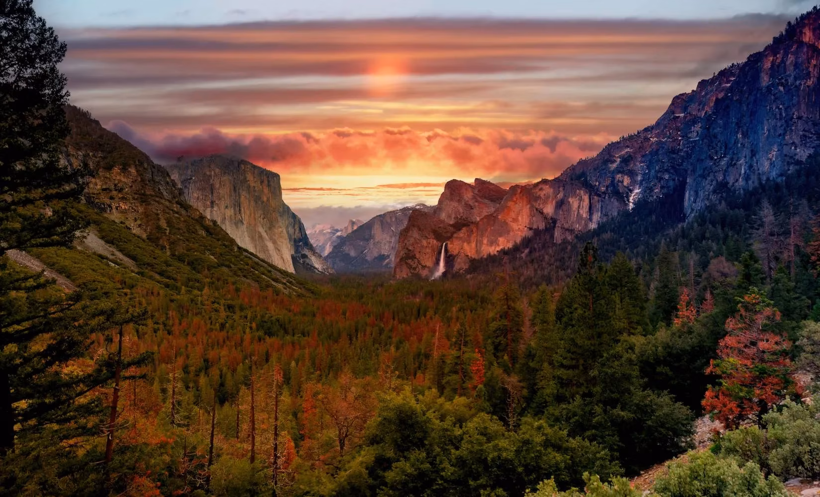 yosemite-s-shutdown-real-life-chaos-a-pro-gamer-can-t-unsee-image-3