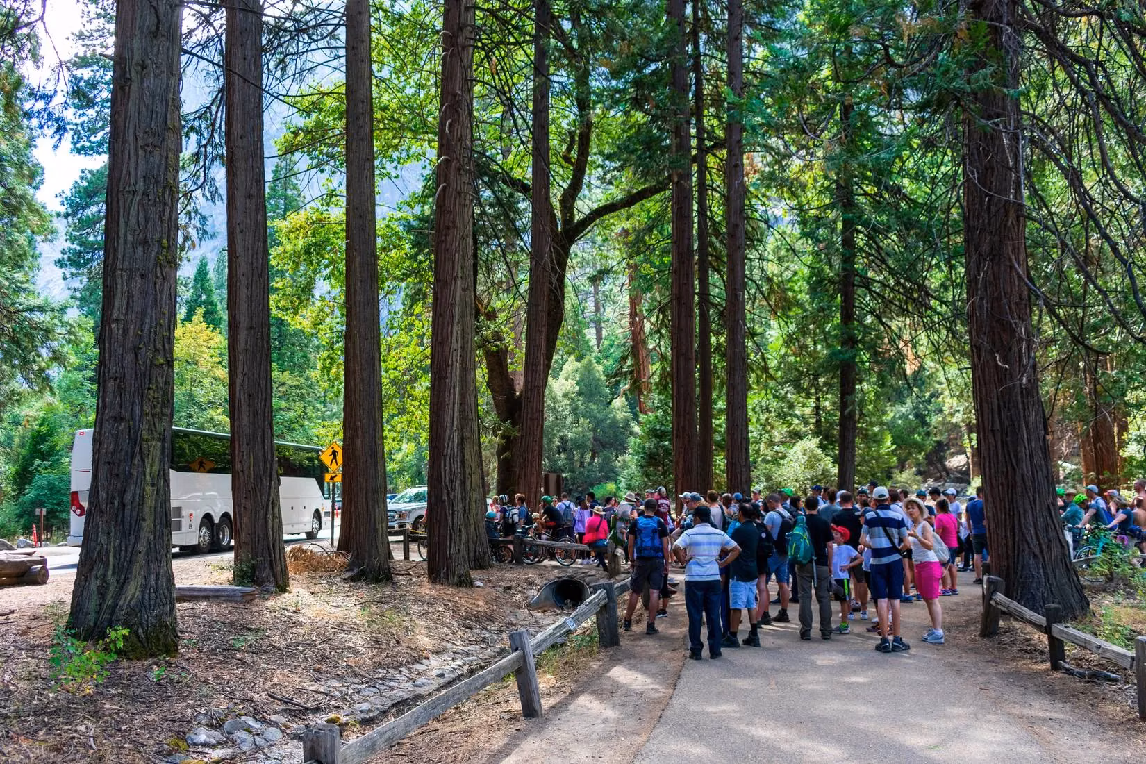 yosemite-s-shutdown-struggles-a-lawless-playground-or-misinformation-image-2