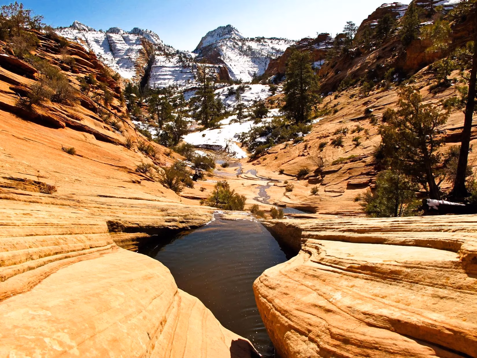 zion-national-park-s-quiet-revolution-the-2026-zion-discovery-center-transforms-the-overlooked-east-side-image-1